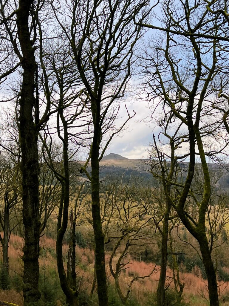 Macclesfield forest.