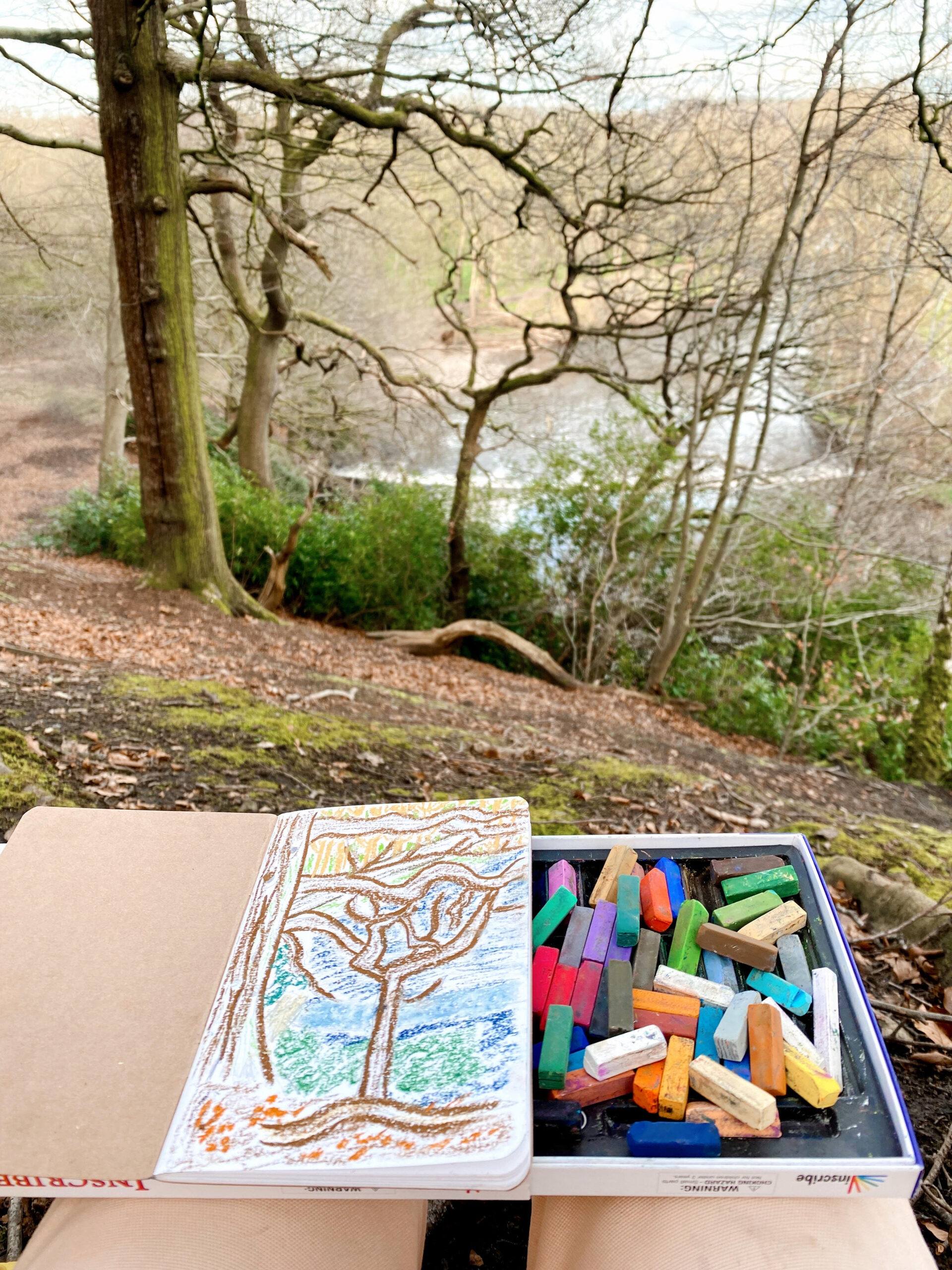 pastel drawing in the woods